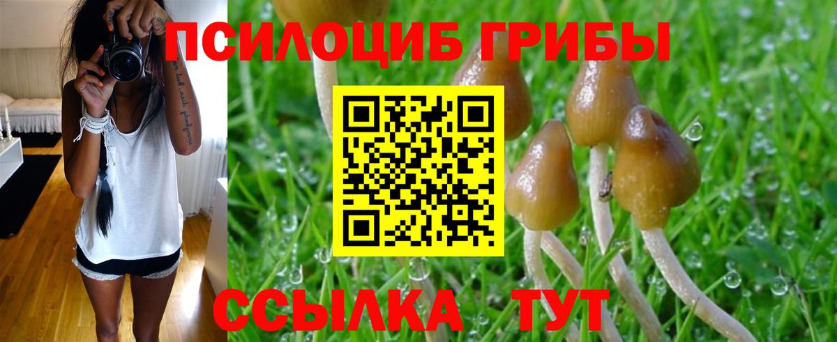 Псилоцибиновые грибы Magic Shrooms Семилуки